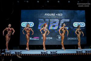 FIGURE +163